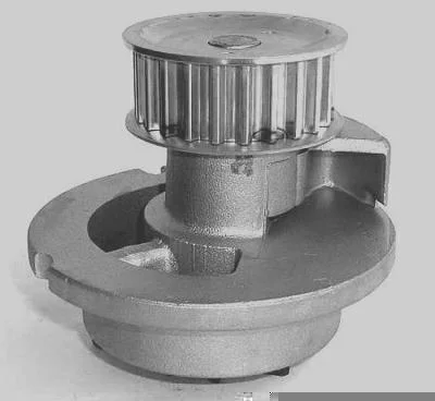 Bomba D' Água MAGNETI MARELLI BMM0163A