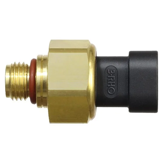 Sensor Eletrônico de Pressão 3RHO 77116
