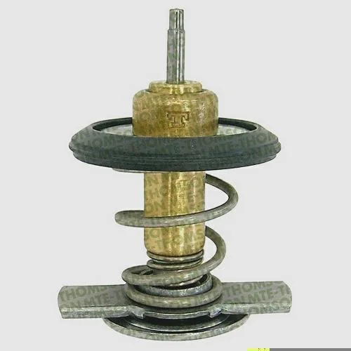 Válvula Termostática MTE-THOMSON VT241.92