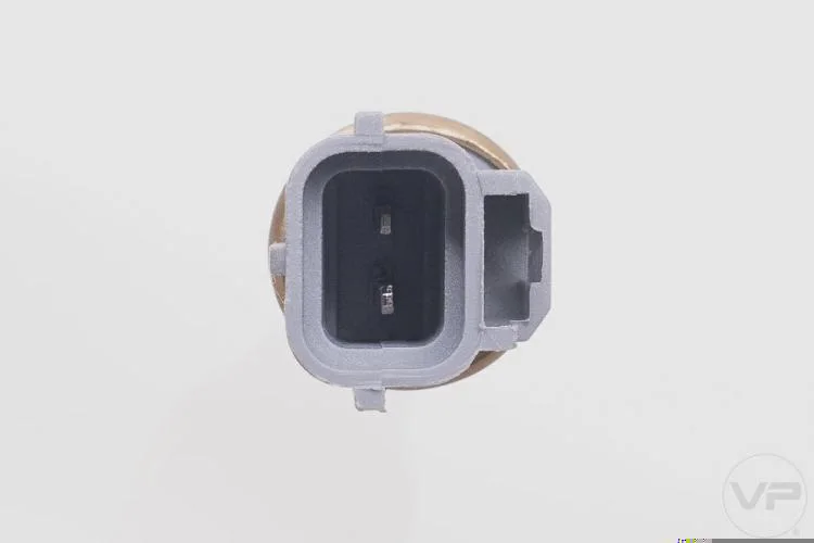 Plug Eletronico