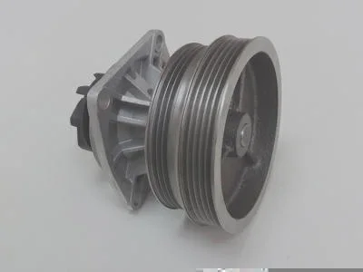 Bomba D' Água MAGNETI MARELLI BMM0756A