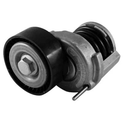 TENSOR & POLIA DAYCO APV2474
