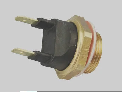 Interruptor Térmico MAGNETI MARELLI ITMM705.86
