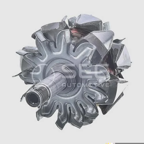 Rotor