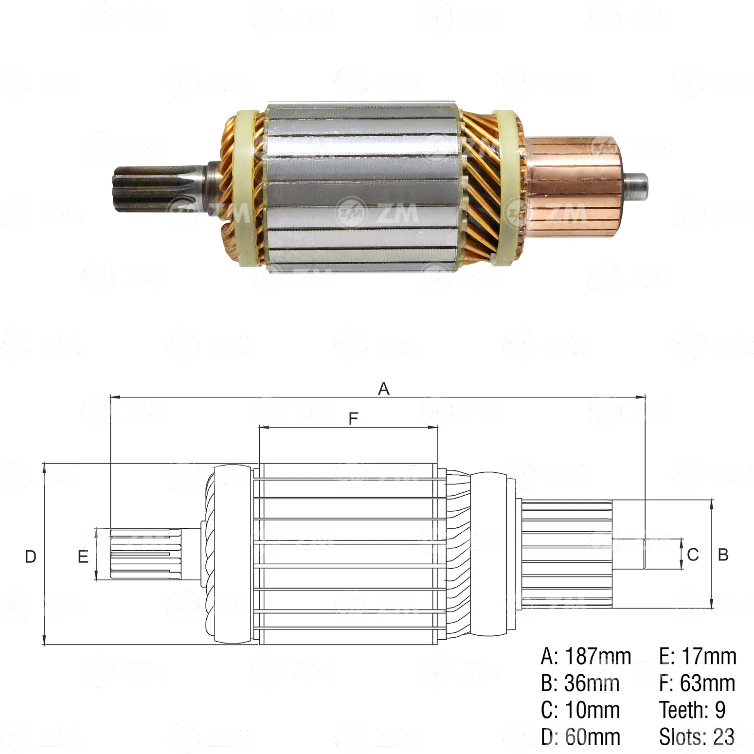 Induzido ZM 83.421.52 ZM 8342152