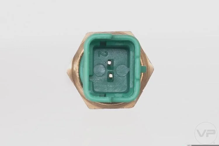 Plug Eletronico