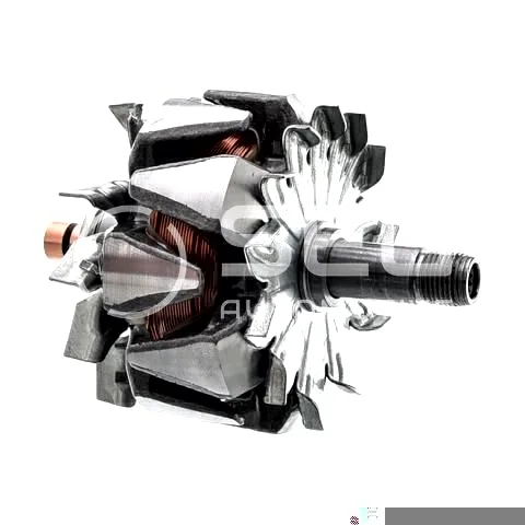 Rotor