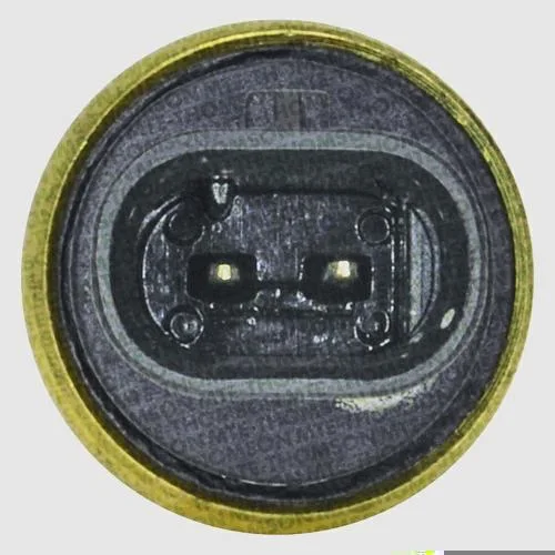 Plug Eletrônico - Água