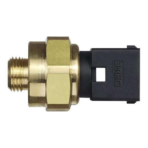 Sensor Eletrônico de Pressão 3RHO 7754