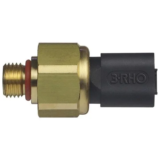 Sensor Eletrônico de Pressão 3RHO 7771