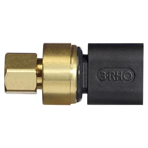Sensor Eletrônico de Pressão 3RHO 7787