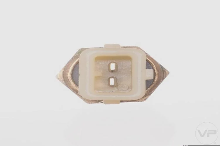 Plug Eletronico