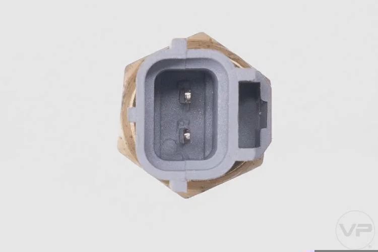 Plug Eletronico