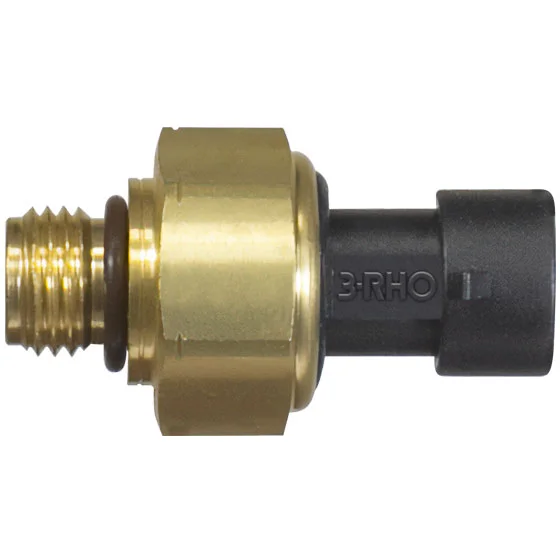 Sensor Eletrônico de Pressão 3RHO 77123