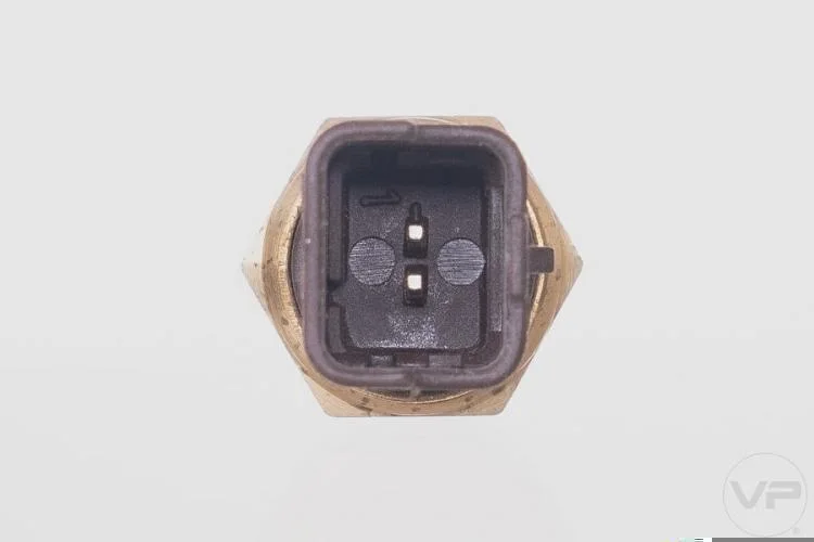 Plug Eletronico