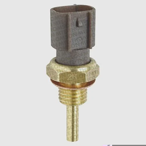 Plug Eletrônico - Água MTE-THOMSON 4023