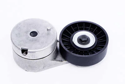 TENSIONADOR DAYCO APV2895