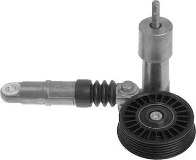 TENSOR & POLIA DAYCO APV2259
