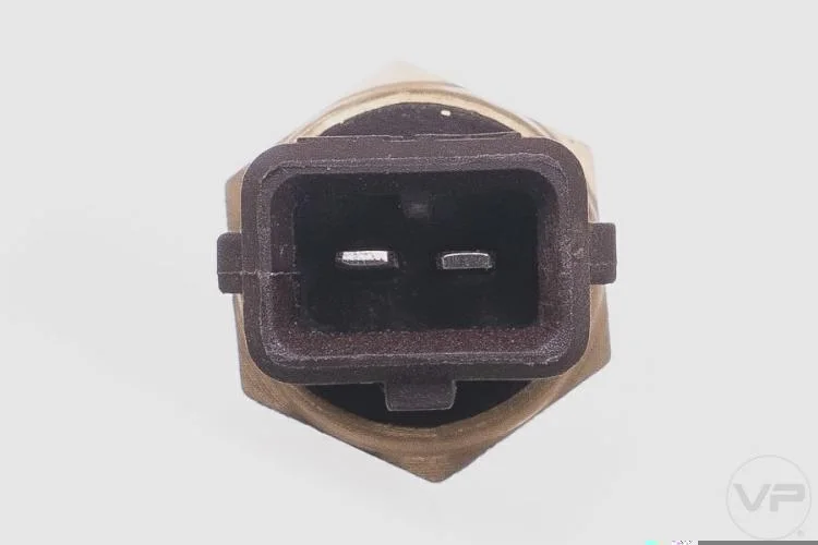 Plug Eletronico
