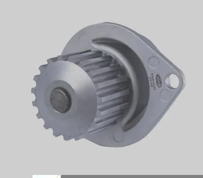 Bomba D' Água MAGNETI MARELLI BMM0808A