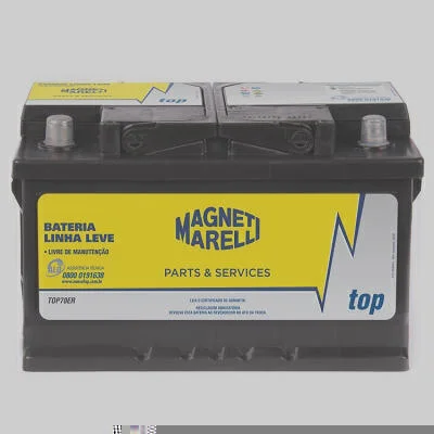 Top MAGNETI MARELLI TOP70ER