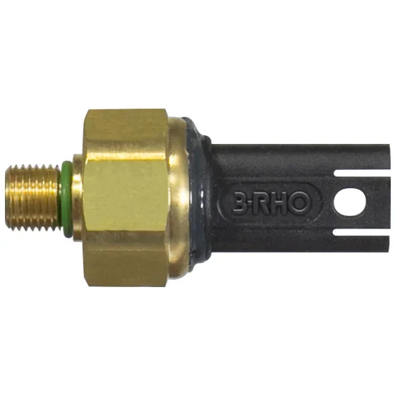 Sensor Eletrônico de Pressão 3RHO 77121