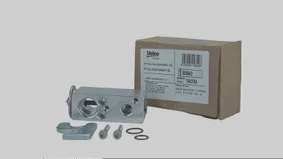 Válvula de Expansão VALEO 509842