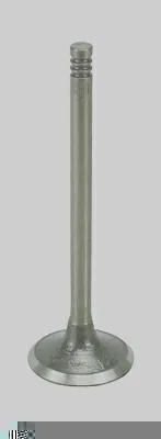 Escape - D 29,00 / D 5,95 / L 92,25 MAGNETI MARELLI VEC04025