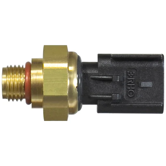 Sensor Eletrônico de Pressão 3RHO 77132