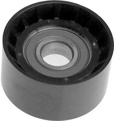POLIA DAYCO APV2188