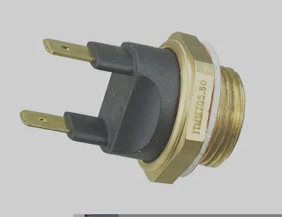 Interruptor Térmico MAGNETI MARELLI ITMM705.60