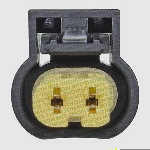 Sensor de Temperatura dos Gases do Escapamento - EGTS