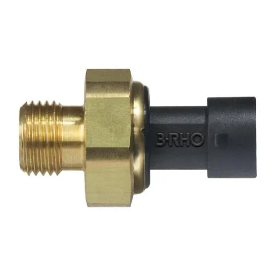 Sensor Eletrônico de Pressão 3RHO 7730