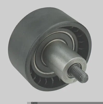Guia da Correia Dentada MAGNETI MARELLI GCDMM01010