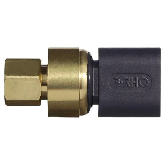 Sensor Eletrônico de Pressão 3RHO 7793