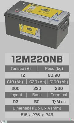 Estacionária MAGNETI MARELLI 12M220NB