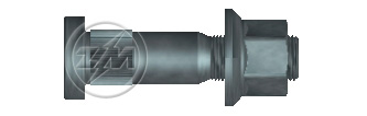 ZM 40.708.02 - Conjunto Parafuso de Roda - TRA (Alum) ZM 4070802