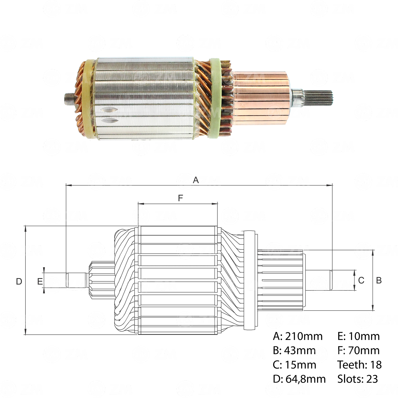 Induzido ZM 83.421.01 ZM 8342101