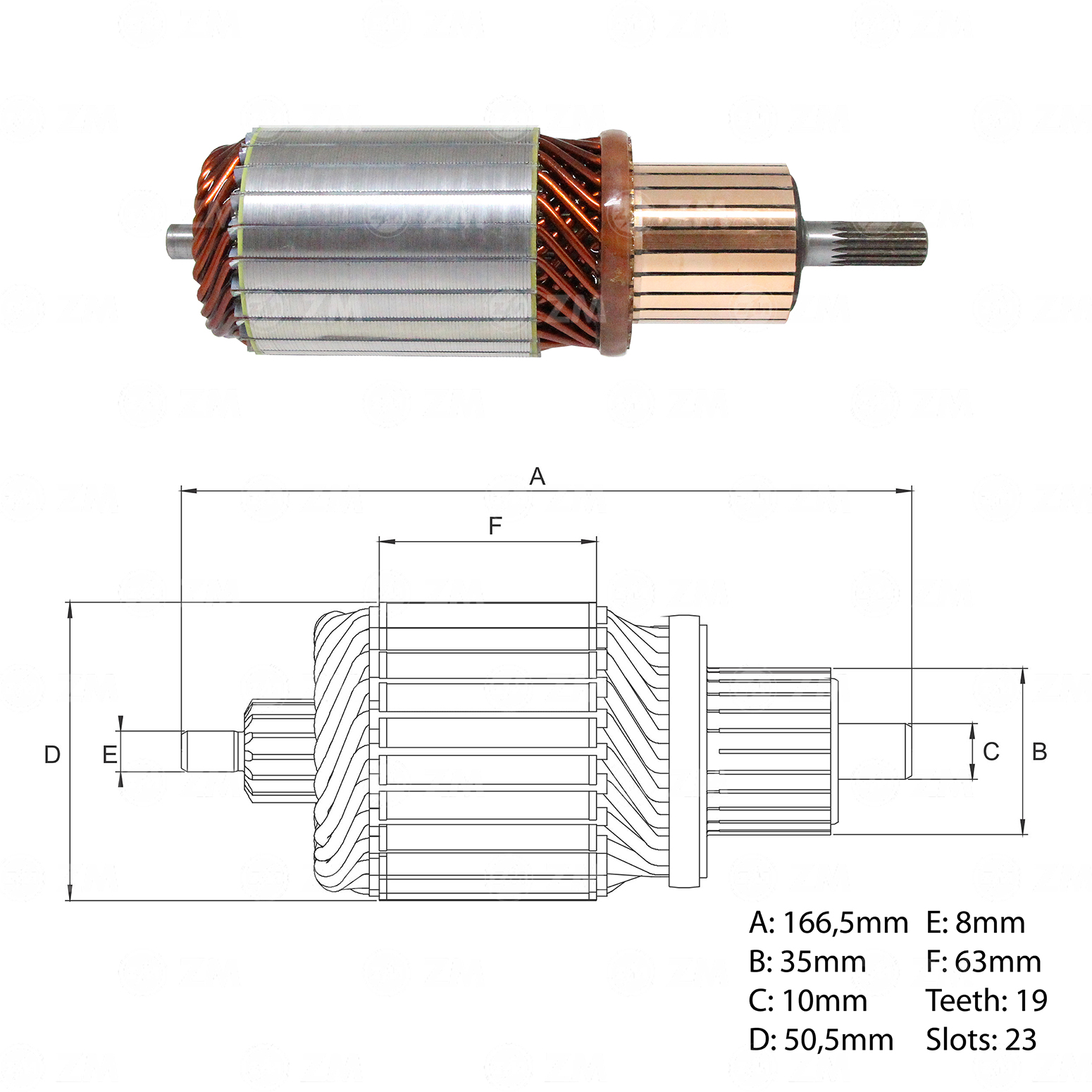 Induzido ZM 83.421.06 ZM 8342106