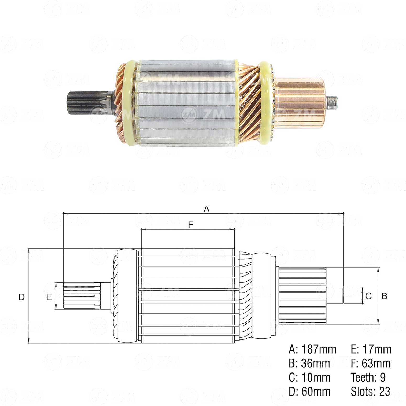 Induzido ZM 83.421.53 ZM 8342153