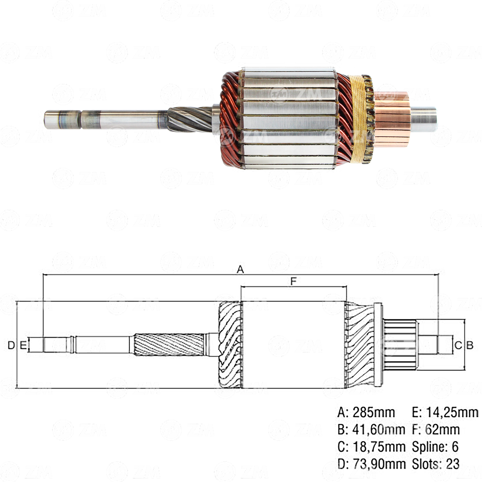 Induzido ZM 83.501.01 ZM 8350101