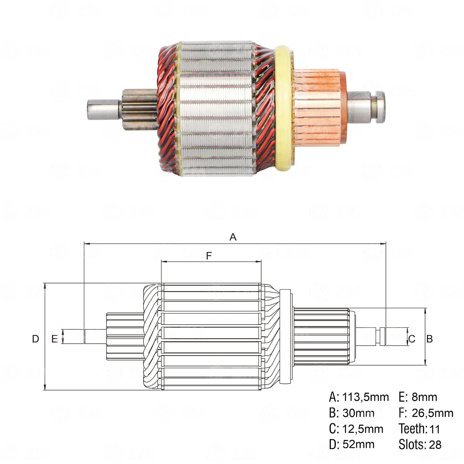 Induzido ZM 83.571.31 ZM 8357131