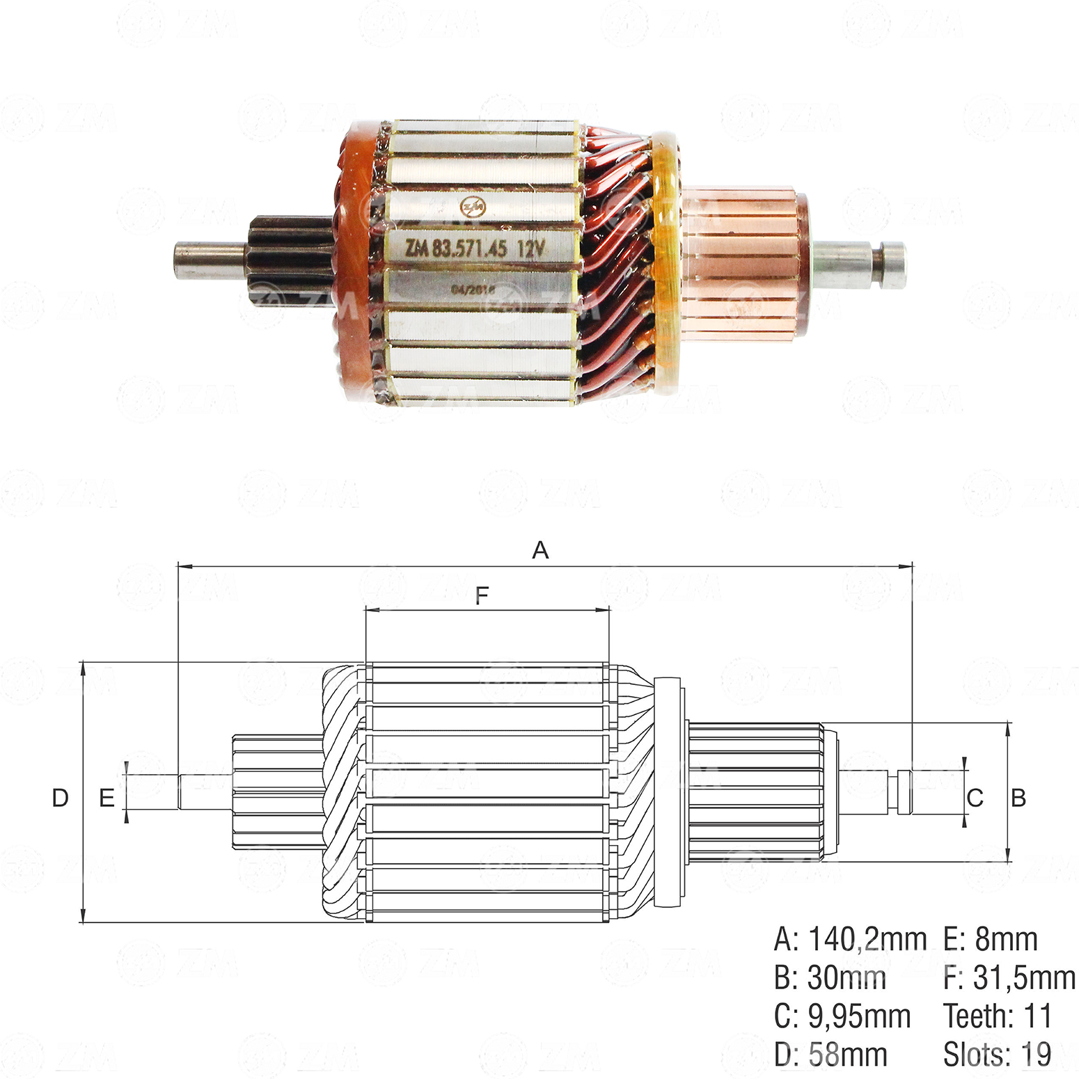 Induzido ZM 83.571.45 ZM 8357145