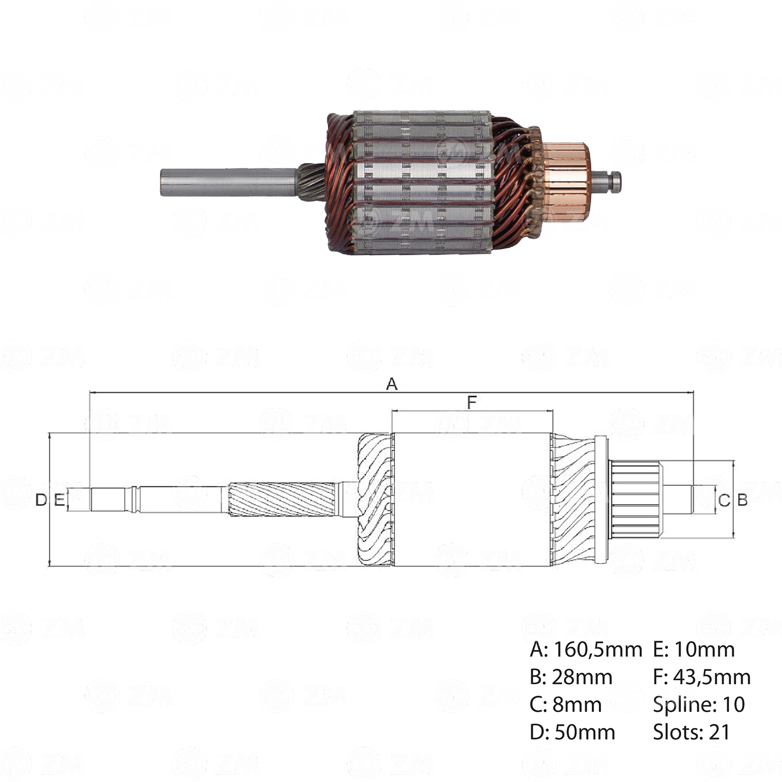 Induzido ZM 83.590.06 ZM 8359006