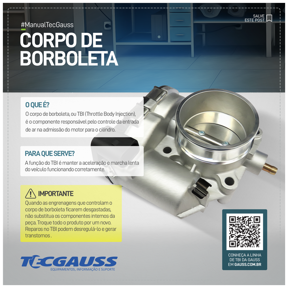 CORPO DE BORBOLETA (TBI)