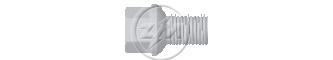 ZM 30.014.00 - Parafuso de Roda - DIA/TRA ZM 3001400