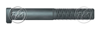 ZM 30.018.23 - Parafuso de Roda - TRA ZM 3001823