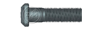ZM 30.780.02 - Parafuso de Roda - DIA (Alum) ZM 3078002
